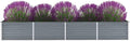 Galvanized Steel Raised Garden Bed for Veggies Flowers and Herbs Metal Steel Welded Wire Fencing Grey Landscape