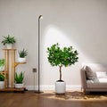 Standing Grow Light with Timer 4/8/12H 20W Full Spectrum Vertical Grow Lights for Indoor Plant Growing Wide Coverage 5.24FT to 6.88FT Height Adjustable Ideal for Large Tall Plants