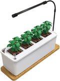 Soilless Cultivation Equipment Vegetable Planting Machine Scientific Spectrum Visible Water Level Intelligent Water Pump Hydroponic Vegetable Planting Box