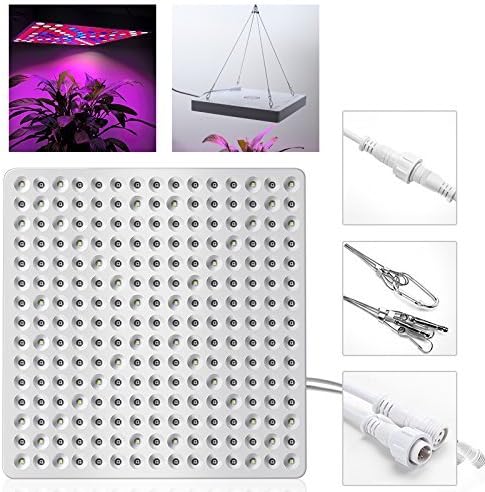 Grow Light - BANGWEIER 50Watt LED Grow Light - Red White And Blue LEDs 50000 Hour Life Span 2900 Lumen