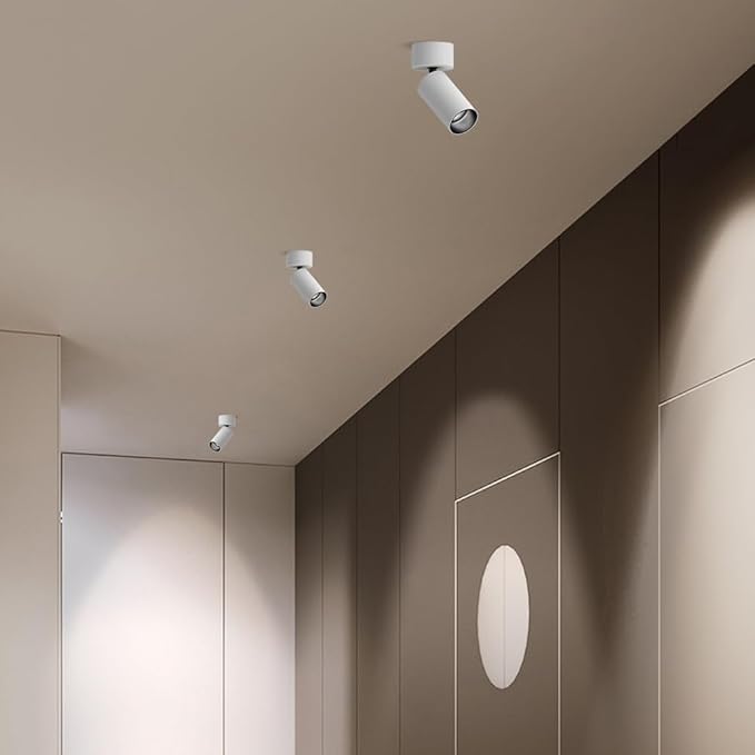 Spotlight White Hardwired SpotlightsAdjustable Directio l Accent Spotlights 10w Exposed Mounted Light for Living Room Artwork Display Lamps