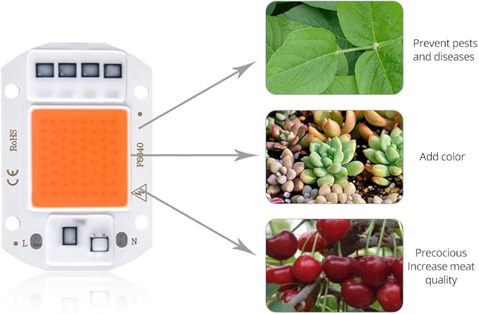 Pack of 20 LED Plant Grow Light Chips AC110V 20W/30W/50W Full Spectrum Plant Light Household Bulbs(30W)