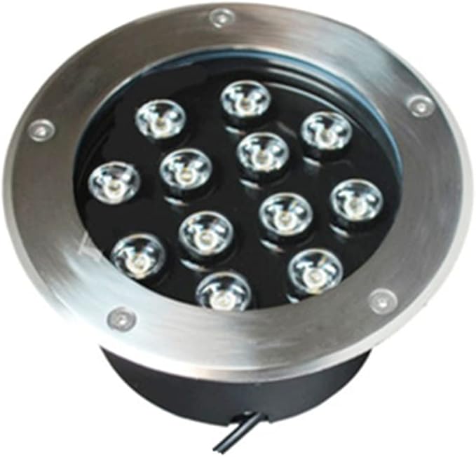 2pcs/lot AC220V/12V 9w/12w LED Round Inground Lamp 304 Stainless Steel Cover Red/Yellow/Blue/Green/Purple Light IP67 Waterproof LED Embedded Spotlight (Size : 12w-12V-warm White)