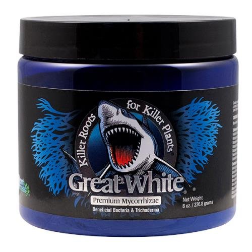 Inert Plant Success Great White Quart (CT and IL Label) (2/Cs)