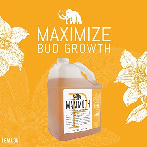 Mammoth P Organic Fertilizer Microbial Inoculants 16% Increase in Yield Maximize Phosphorous and Enhance Plant Health Nutrient Supplement Proven to Grow Bigger Yields - 1 Gallon/4 Liter