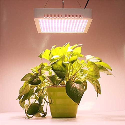 Fengyan Landscape Lights LED Grow Light Full Spectrum 2000W High Brightness Phytolamp Indoor Imitate Sunlight Growing Lamp for Plant Grow Tent LED Street Lamp (Color : White)