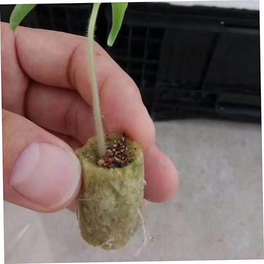 POPETPOP 2sets for Plants Wool Grow Cubes Complete Hydroponic Kit No Root Interference 40pcs*2