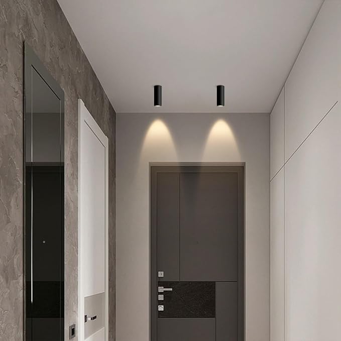 Spotlight Cylinder Flush Mount Spotlight Fixture 7w 4000k Directio l Spotlights Accent Lamps for Living Room Bedroom Hallway