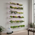 Hydroponic Grow Kit - Wall-Mounted System with 36 Plant Sites Food-Grade PVC-U Pipes Water Pump Timer Nest Basket &amp Sponge for Leafy Vegetables