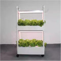 Hydroponic Tower Growing Sytem Hydroponics Growing Indoor Smart Vertical Garden Kit Automatic Grow Lights Planter for Home Kitchen Easy to