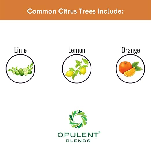 Liquid Citrus Essentials | (16 fl. oz.) | Increase Yield and Health of Citrus Trees | Liquid Fertilizer for Citrus Trees | Foliar Applied | EDTA Free | Amino Acid Complexed Nutrients