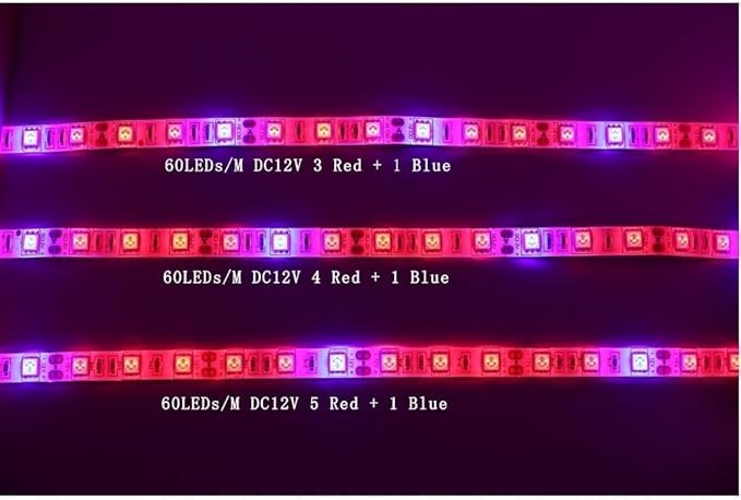 Landscape Lights 5M LED Phyto Lamps Full Spectrum LED Strip Light 300 LEDs 5050 Chip LED Fitolampy Grow Lights for Greenhouse Hydroponic Plant LED Street Lamp