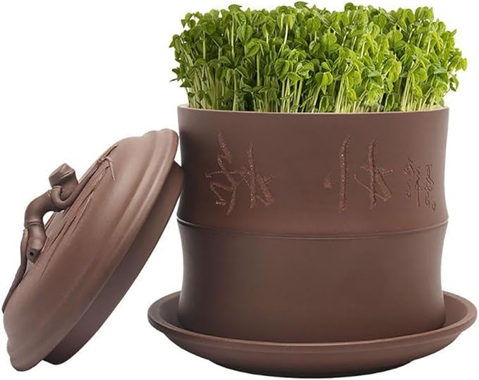 Sprouter Bean Growing Machine Purple Sand Bean Sprout Machine Large Capacity Sprouting Seedling Machines Plant Germination Kits
