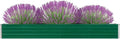 Garden Raised PlanterGarden BedGalvanized Raised Garden BedPlanter Raised bedsGalvanized PlanterBed Galvanized Steel 126x15.7x17.7 Green