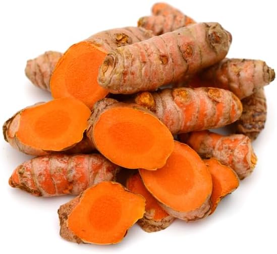 15 Fresh Turmeric Roots for Planting Golden Orange Turmeric Ginger Whole Perennial Herb