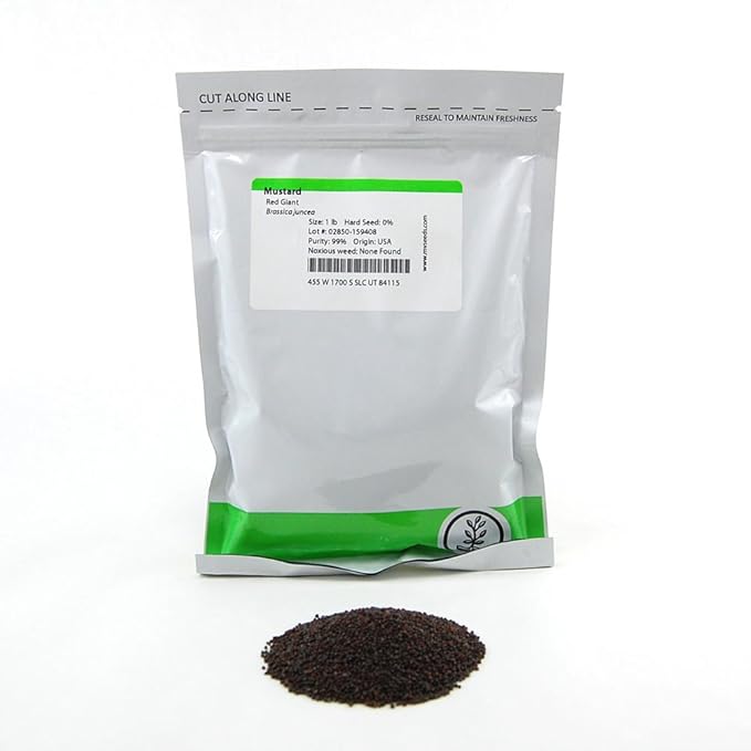Red Giant Mustard Seeds: 1 Lb - Non-GMO Seeds for Herb Gardening Growing Micro Greens Vegetable Garden