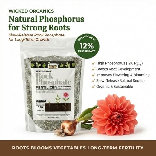 Old Cobblers Farm™ Wicked Organics 0-12-0 Fertilizer - Rock Phosphate - Boosts Roots Flowering Fruiting &amp Soil Health for Gardens (5 lbs | 10 lbs | 15 lbs | 20 lbs) (10lb)