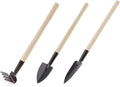 Mini Garden Tool Set 3pcs/Set Gardening Tools Wood Handle Stainless Steel Potted Plants Shovel Rake Spade for Flowers Potted Plant Seed Disseminators
