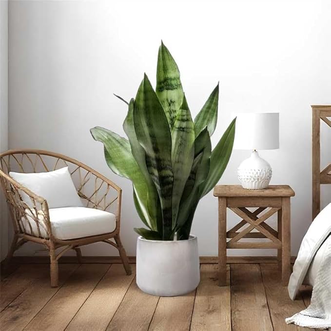 Handmade Ceramic Planter Set of 4 691114 Inch Diameter Neutral Textured for Succulents Cacti Orchids IndoorOutdoor Use on Windowsills Bookshelves Breathable Clay
