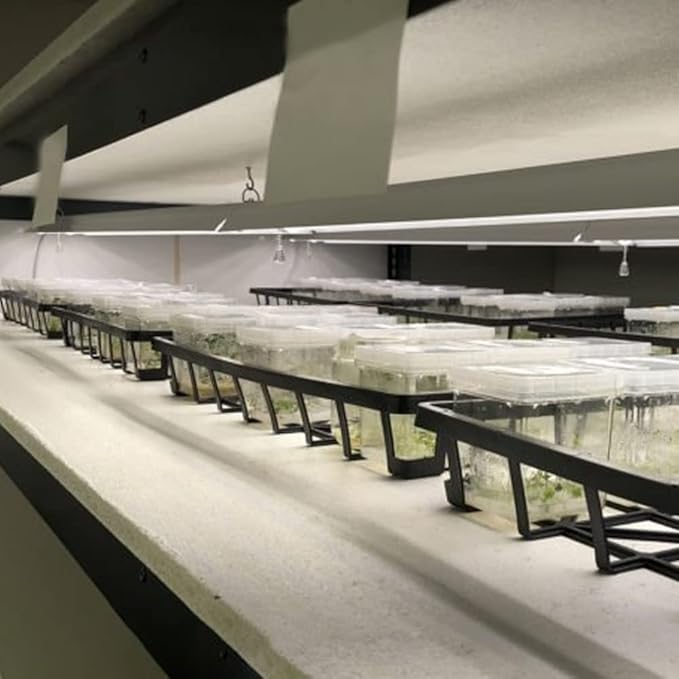 Active Grow Integrated Dual T8 4FT LED Grow Light - T8 Grow Lights for Indoor Plants Propagation Leafy Greens &amp Microgreens - 38W - Sun White Full Spectrum High CRI 95 - Linkable - 120-277V
