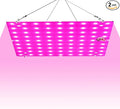 200W LED Indoor Plants Cultivation Lights AC100-277V Hydroponic Seedings Planting Panel Lights UV/IR Greenhouse Tent Succulent Vegs Potting Flowers Fruits Cactus Moss Filling Lights US Plug