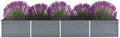 Outdoor Garden Raised Bed Galvanized Steel Metal Outdoor Garden Raised Planter Box for Flowers Vegetables Fruits Herbs Gray 126x31.5x17.7