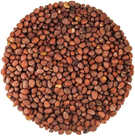 Food to Live - Radish Seeds for Sprouting 3 Pounds Edible Seeds Pure Vegan Kosher Bulk. Rich in Vitamin C. High Germitation Rate. Grow Sprouts and Microgreens for Salad Sandwiches Rolls.