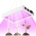 500W LED Grow Lights AC100-277V Bloom/Veg 2Modes Indoor Planting Fill Lamp 110V Red Blue Greenhouse Tent Hydroponic Flower Vegs Succulent Potted Fruit Seeds UV/IR Cultivation Lighting