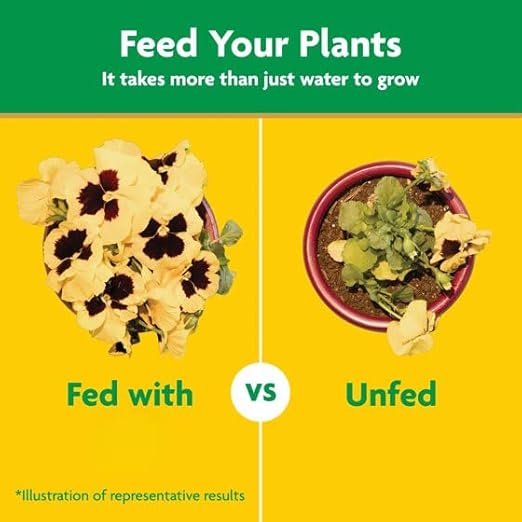 Miracles-Grows Water Soluble All Purpose Plant Food 5 lb Indoor and Outdoor Plants