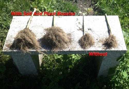 Wallace Organic Wonder Soil and Plant Booster