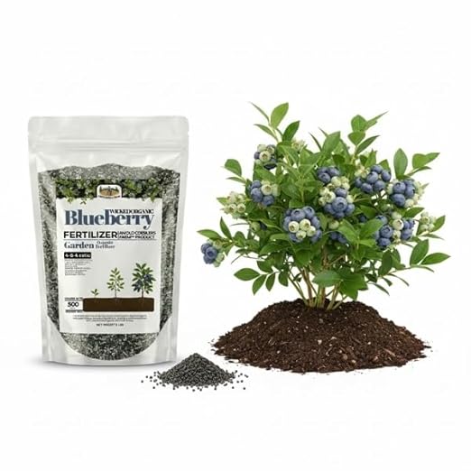 Old Cobblers Farm™ Wicked Organics Blueberry Fertilizer – Balanced Plant Food for Acid-Loving Plants Supports Strong Roots Green Foliage &amp Abundant Blooms (5 lbs | 10 lbs | 15 lbs | 20 lbs) (10l