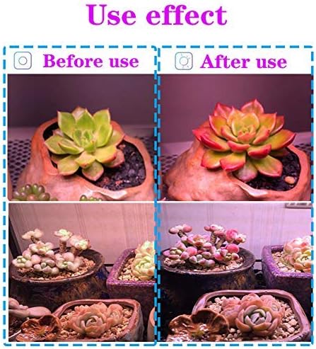 (1-Pack Dimmable 12W Plant Grow Light BulbFull Spectrum Grow LampPAR20 E26 Base AC 85-265V 60W Equivalent LED Grow Light Bulb