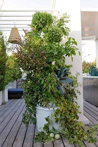 Standard Outdoor Vertical Hydroponic Growing System Kit Grow 27 Large Lettuce Vegetables Herbs Fruit | 20 Gallon Water Tank 20' Pump Cable Smart WiFi Timer | Easy Assembly &amp Use