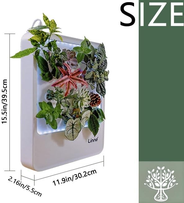 Indoor Hydroponic Growing System Desktop Herb &amp Vegetable Grow Light with LED Grow Lamp - Hydroponic Cultivation Harvest Lettuce (Gray)
