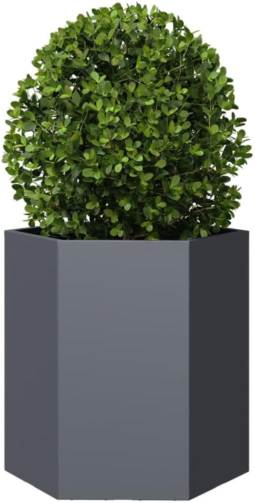 Anthracite Steel Hexagonal Garden Planter Set of 2 Large Outdoor Raised Garden Bed for Flowers &amp Vegetables 15.7x18.1x17.7in Durable Metal Planter Box