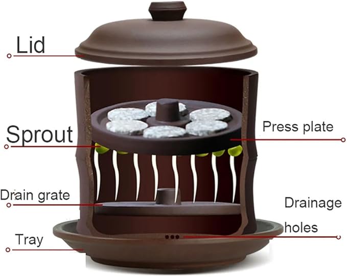 Sprouter Bean Growing Machine Purple Sand Bean Sprout Machine Large Capacity Sprouting Seedling Machines Plant Germination Kits