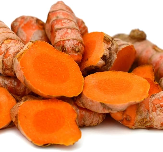 Pack 2 Curcuma Turmeric Ginger Plants Live - Size 5-8 Inch Tall - Live Ginger Vegetable for Planting - Ginger Seedlings