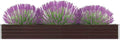 SKM Garden Raised Bed Galvanised Steel 320x40x45 cm Brown (Weight-10KG)