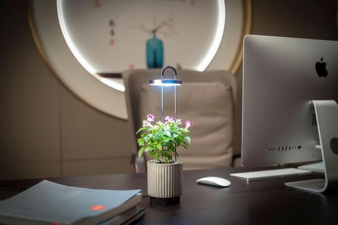 Mini Smart Planter Kit with Petunia Plant Pods by Click&ampGrow Hydrovase Indoor Garden Self-Watering Pot with Grow Light (Grey)