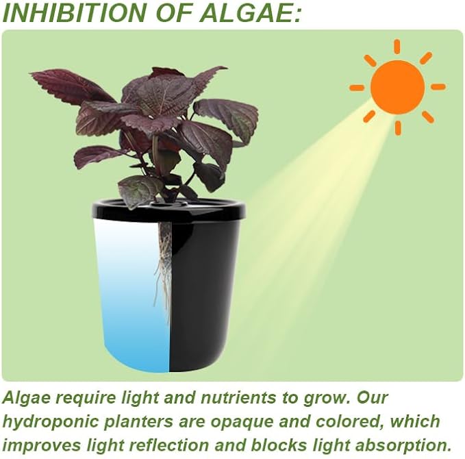 Kratky Method Hydroponic Planter Kit 8 Hydroponic Planter Plus 24 Growing Sponges for Herbs Hydroponic Mini Buckets for Windowsill Herb Garden Hydroponic Growing System for Vegetables (Black)