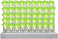 Hydroponic Growing Tower Vertical Planter Tower Hydroponics Growing System Kit for Fruits Vegetables Herbs and Miniature Greens(X-Large)