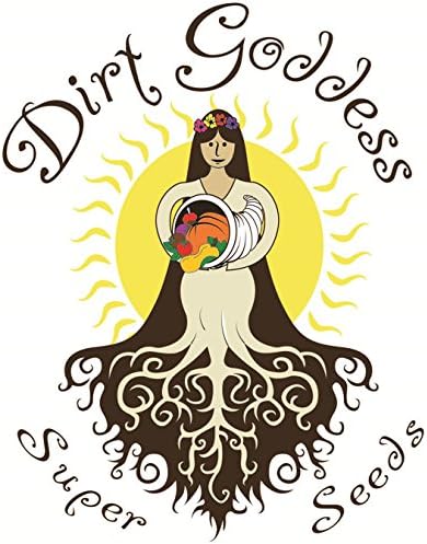 Dirt Goddess Super Seeds ~ Golden Bantam Sweet Corn Seeds (1/2 LB) 1000 Seeds Non-GMO