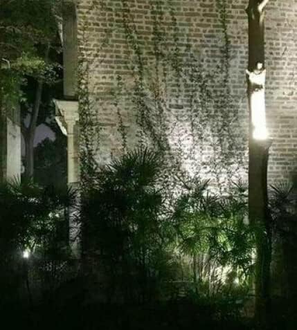 Outdoor LED Spotlight Waterproof Bright Outdoor Landscape Automatic Timer Mini Lawn Lamp 36W Graden Lights with Ground Stake Lawn Accent Lighting with Plug Courtyard Flag Light Cool White