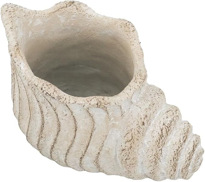 9x5.5x5.7 Sand and Cement Conch Planter with Textured Beige