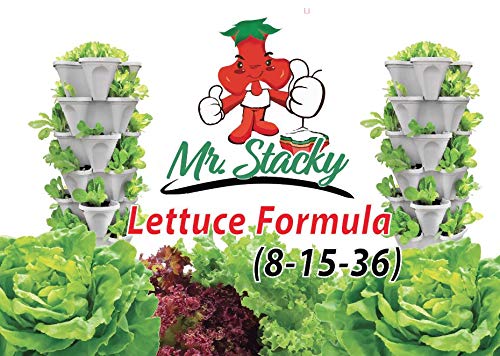 Lettuce Fertilizer Calcium Nitrate Combo