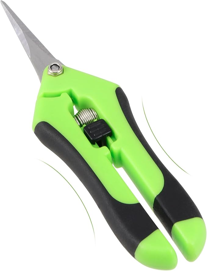 JEUIHAU 12 Pack 6.5 InchesPruning Shears Trimming Scissors Gardening Hand Pruning Shears with Straight Tip Stainless Steel Blades Micro Tip Pruning Snips for Trimming Garden Herb Plant Flower Green