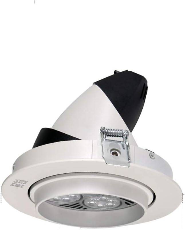 Luce di riempimento per piante da 24 W Faretto da soffitto a spettro completo per la crescita della parete di piante grasse e fiori per interni a LED