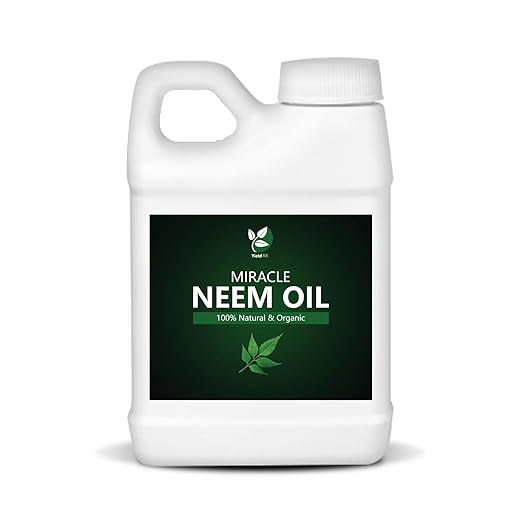 100% Pure Cold-Pressed Concentrated Neem Oil – Natural Care for Indoor &amp Outdoor Plants and Vegetables (32 Oz)
