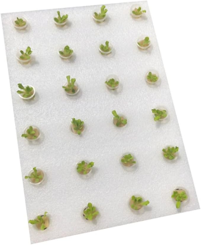 1Set Hydroponic Planting Tray Soil Floating Sponge Kit with Cylinder Sponge Cups Planting Baskets for Greenhouse Vegetable Cultivation