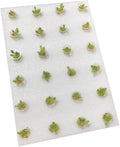 1Set Hydroponic Planting Tray Soil Floating Sponge Kit with Cylinder Sponge Cups Planting Baskets for Greenhouse Vegetable Cultivation